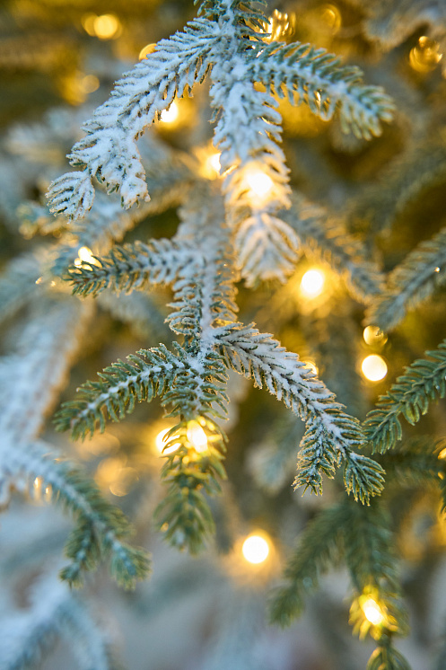 Ель искусственная Эми с лампочками заснеженная на штамбе