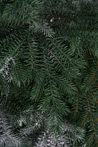 Ель искусственная Аркадия иней