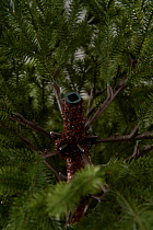 Елка литая Лозанна