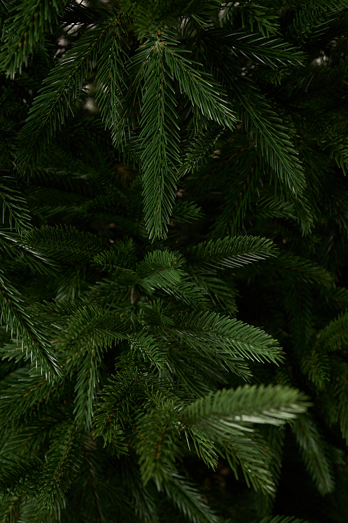 Ель литая Вяземская