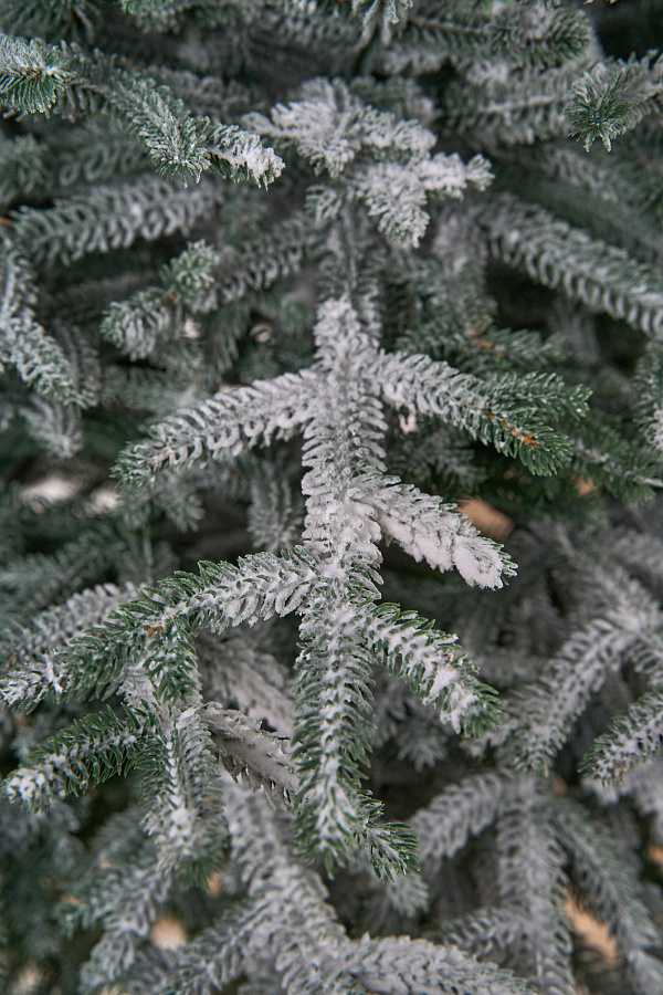 Ель искусственная заснеженная Эми на штамбе