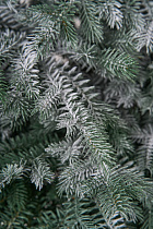 Ель искусственная Фиджи иней