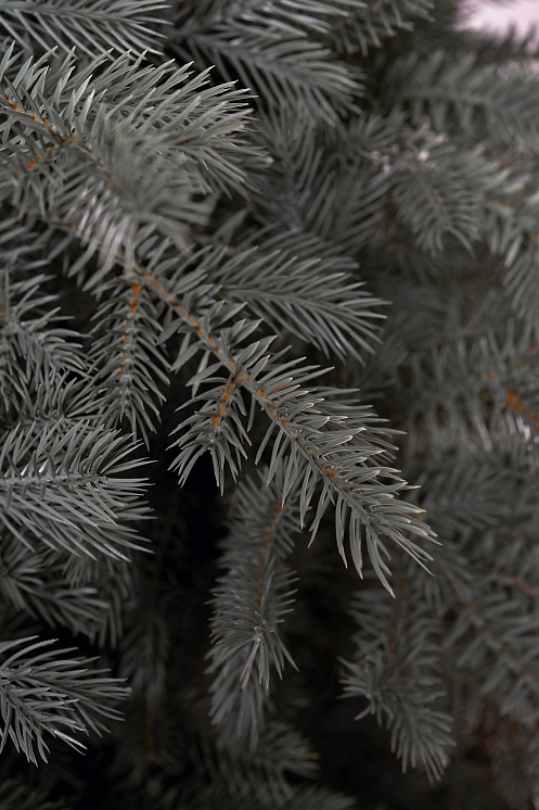 Ель искусственная литая Мурманская голубая