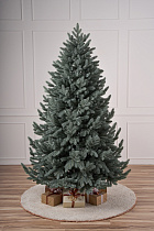 Ель литая Сочинская голубая