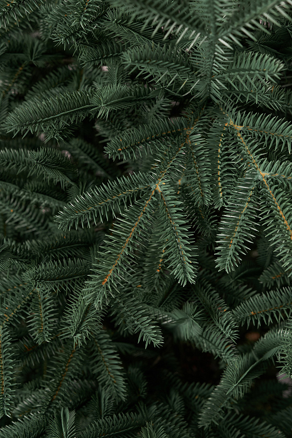 Ель искусственная литая Сударыня