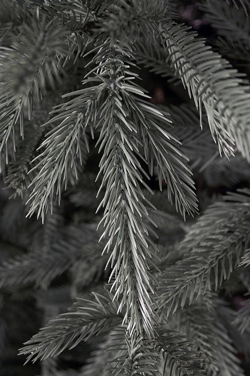 Ель литая Вяземская голубая