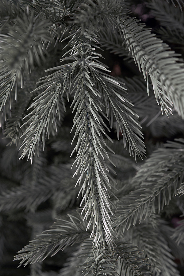 Ель литая Вяземская голубая