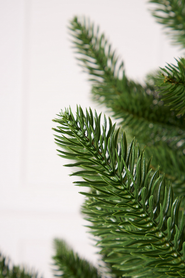 Ель литая Сочинская