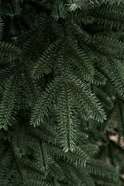 Ель искусственная литая Сударыня