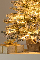 Ель настольная Версальская заснеженная с лампочками