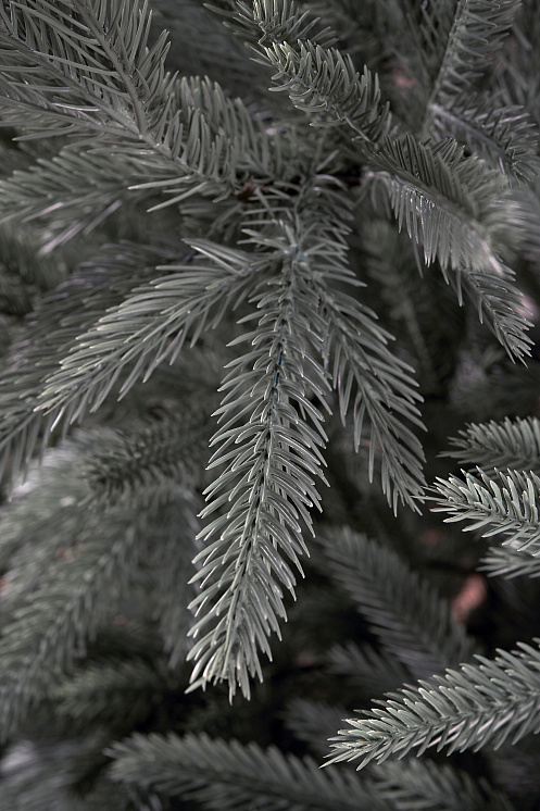 Ель литая Вяземская голубая