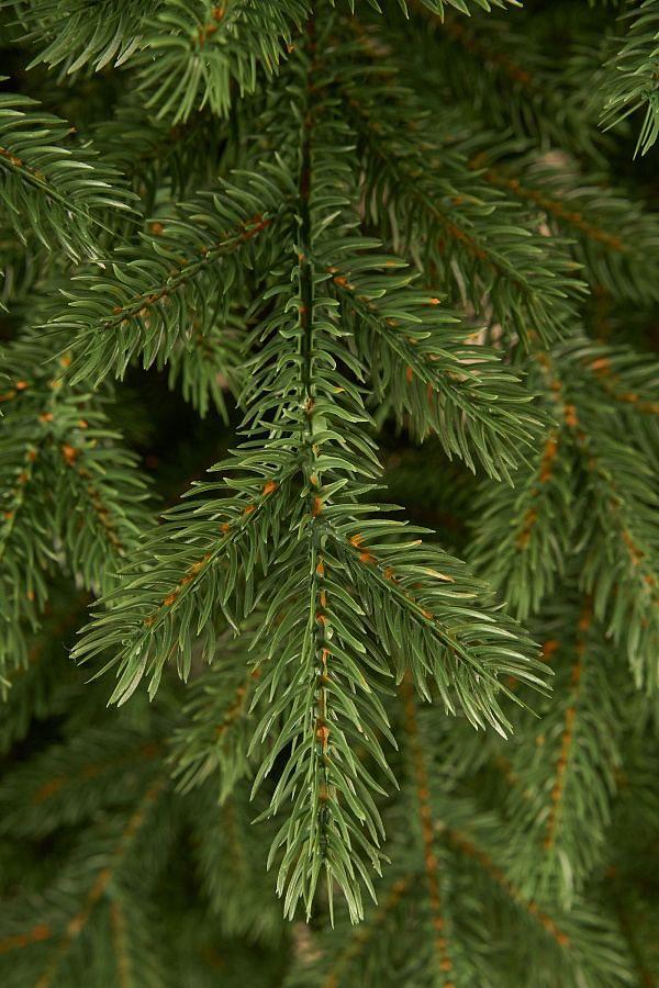 Ель искусственная литая Зеленоградская